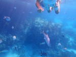 resIMG_20180716_094348_P7160915.JPG